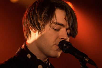 the wombats